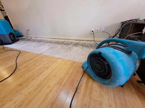 Professional Flood Damage Cleanup technician working in Williamson, AZ